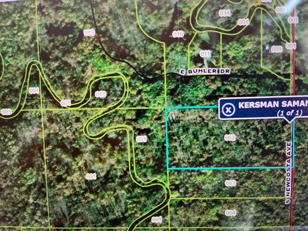 V/L Newcosta Avenue, Howard City, MI 49329 - #1