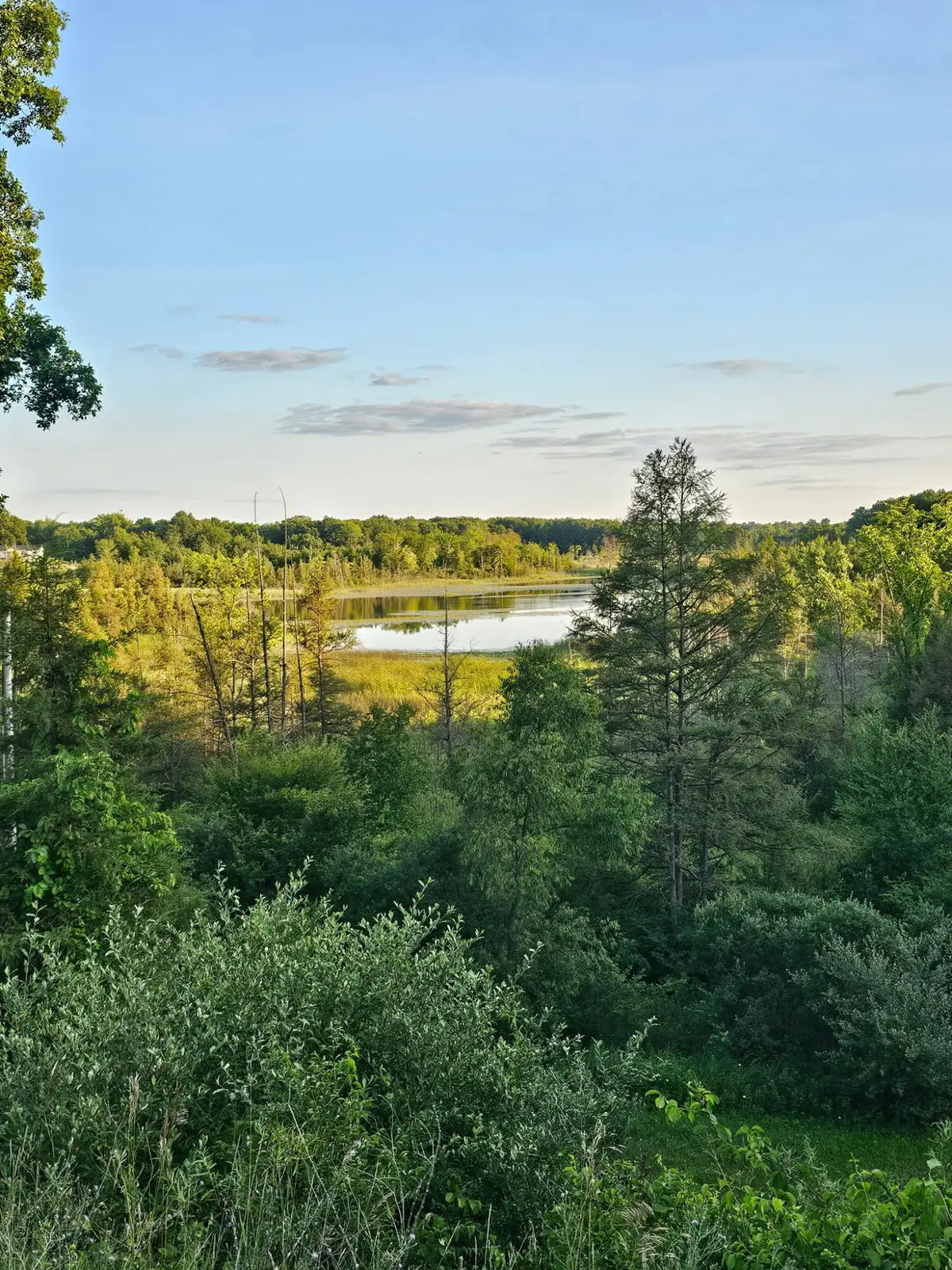 5464 Clear Lake Road, Grass Lake, MI 49240 - #1