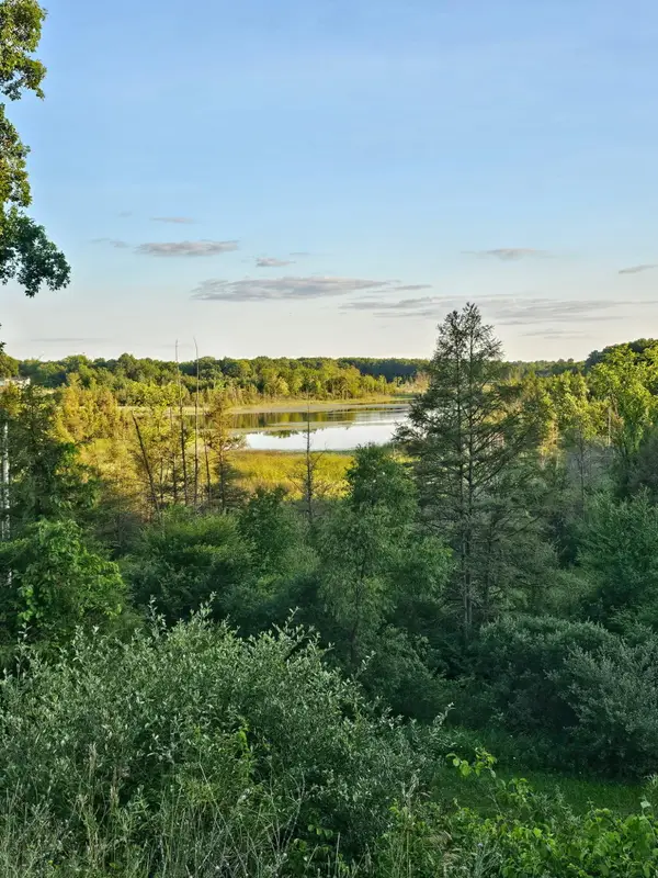 5464 Clear Lake Road, Grass Lake, MI 49240