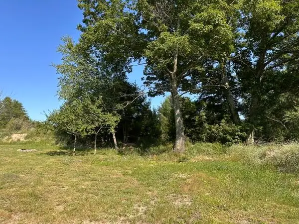 207 Skocelas Road N, Manistee, MI 49660