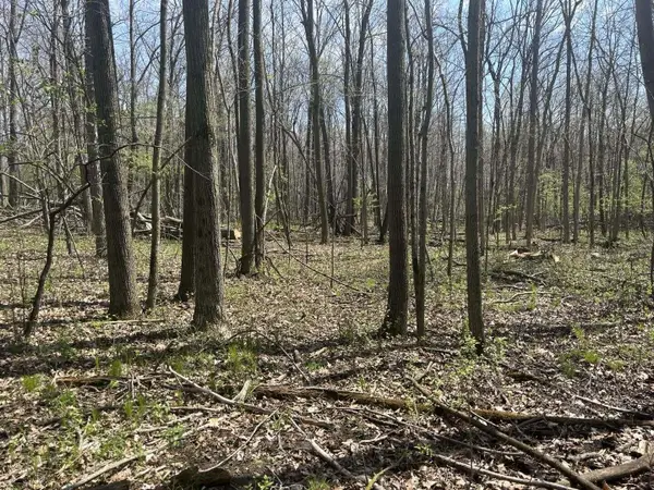 Halfmoon Lake Rd., Hillsdale, MI 49242