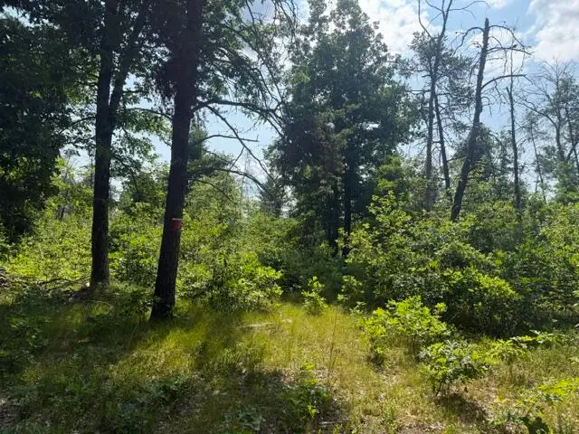 7760 S Merrillville Road, Baldwin, MI 49304 - #3