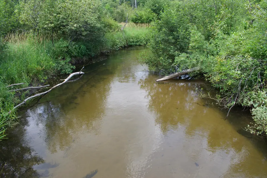 5304 N Peacock Trail, Baldwin, MI 49304 - #3