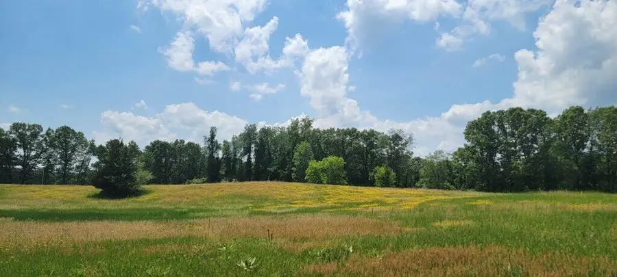 VL Kingsbury Road #Parcel C, Delton, MI 49046 - #2