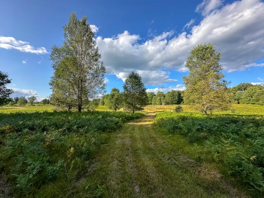 17219 7 Mile Road, Reed City, MI 49677 - #2