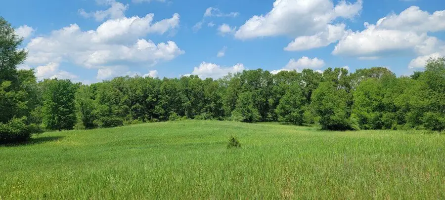 VL Kingsbury Road #Parcel B, Delton, MI 49046 - #2