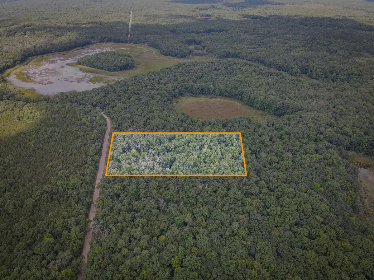 V/L S 184th Ave, Holton, MI 49425 - #1