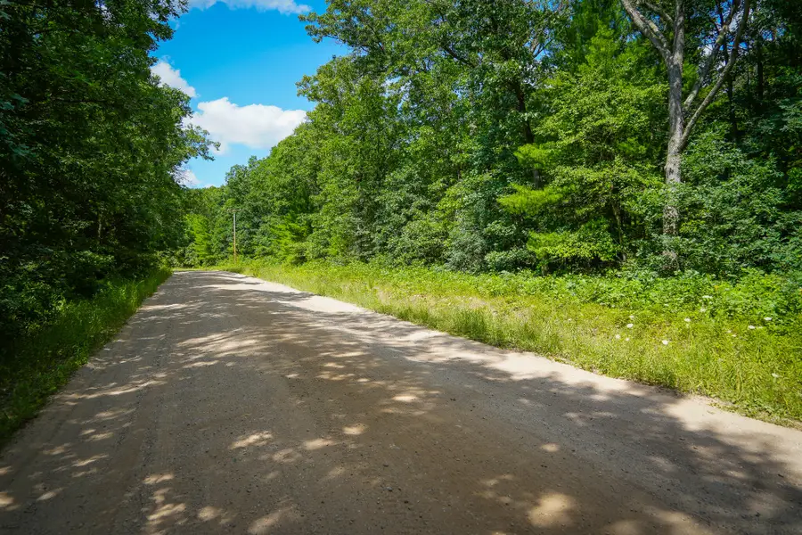 V/L S 184th Ave, Holton, MI 49425 - #3