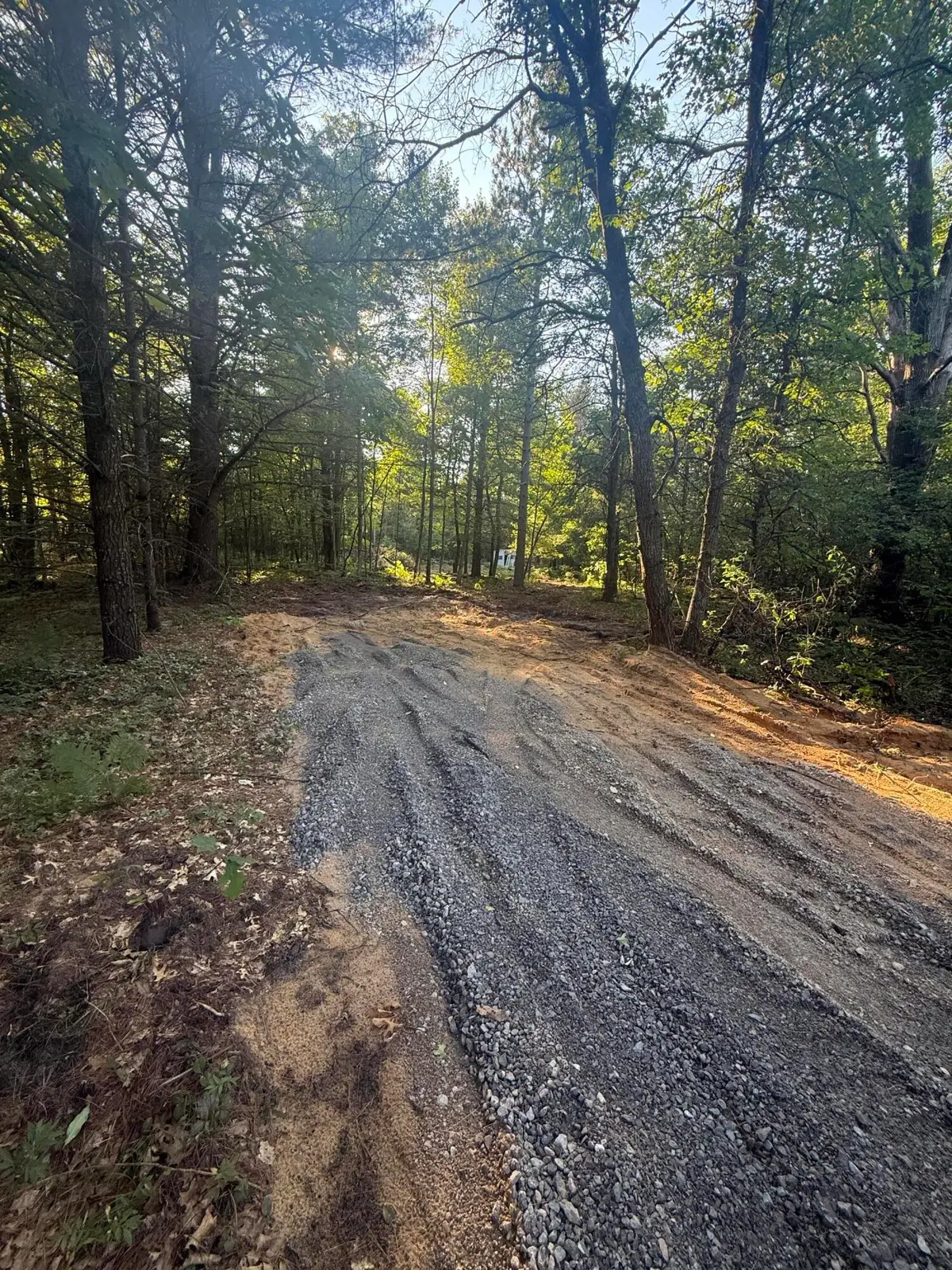 Michael Drive, Alger, MI 48610 - #1