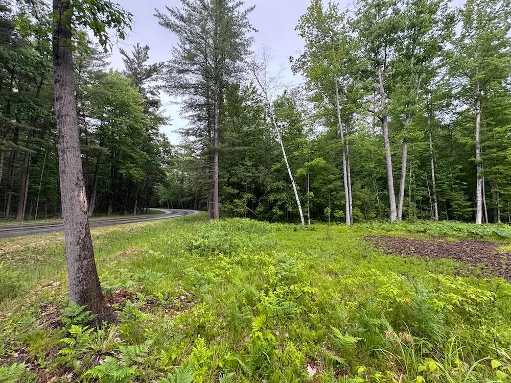 Pinecrest Drive, Gladwin, MI 48624 - #1