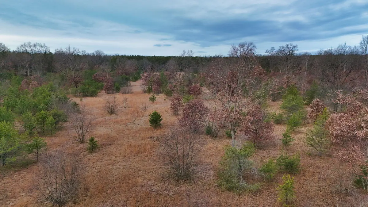 3728 N Custer Road, Manistee, MI 49660 - #1
