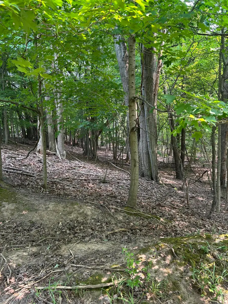 V/l Longbridge East Parcel 11, Pentwater, MI 49449 - #2