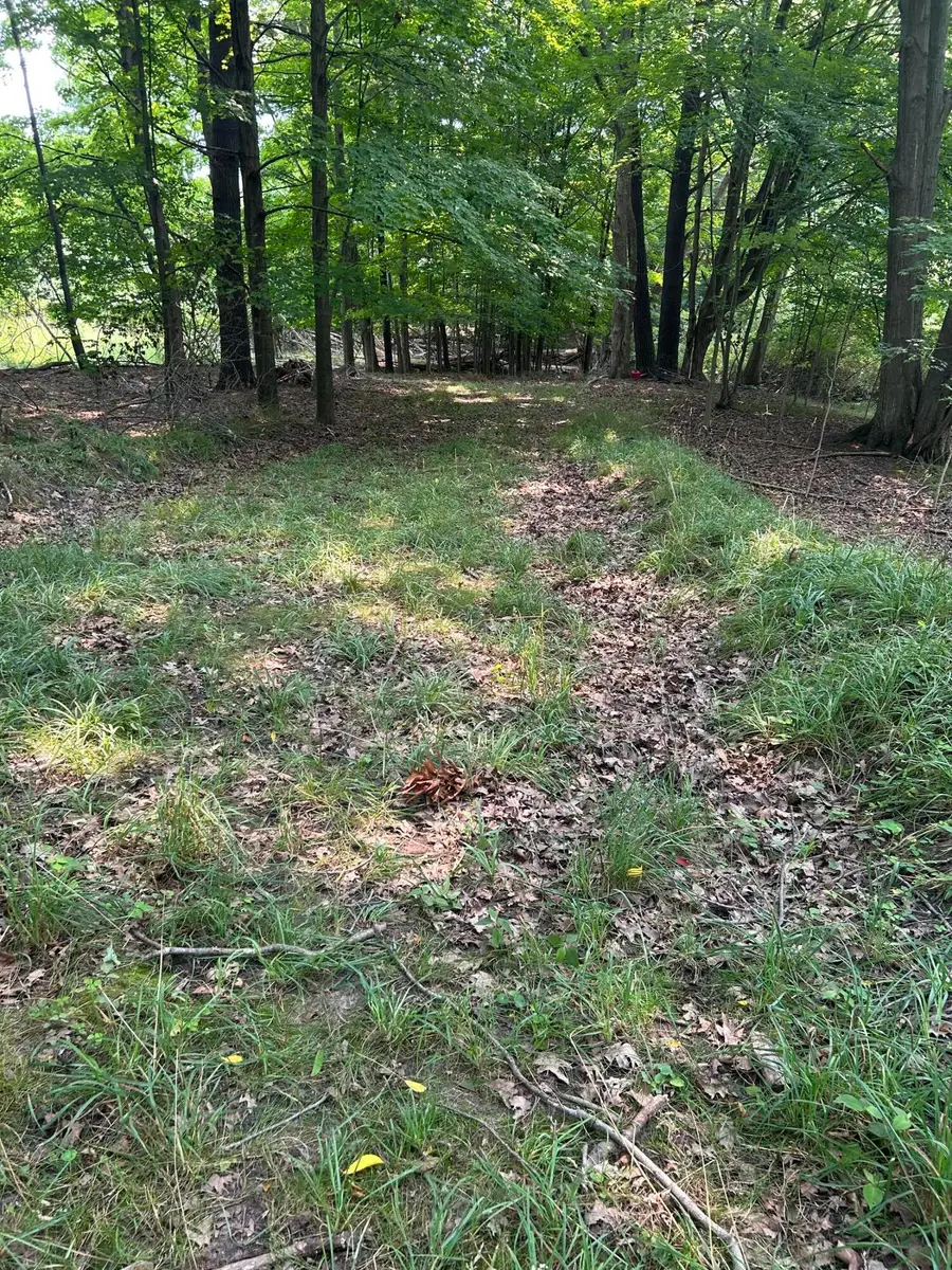 V/l Longbridge East Parcel 11, Pentwater, MI 49449 - #3