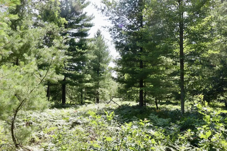 3.95 AC E Greenwood Road, Prescott, MI 48756 - #2