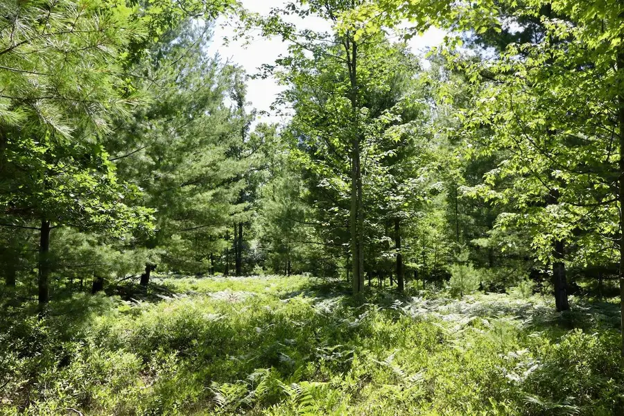 3.95 AC E Greenwood Road, Prescott, MI 48756 - #3