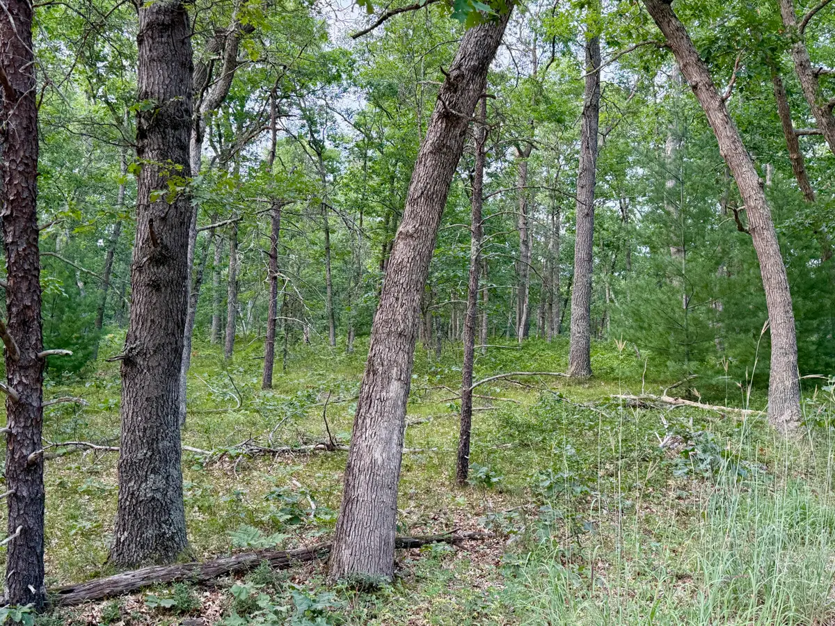 2a Steinberg Road, Manistee, MI 49660 - #1