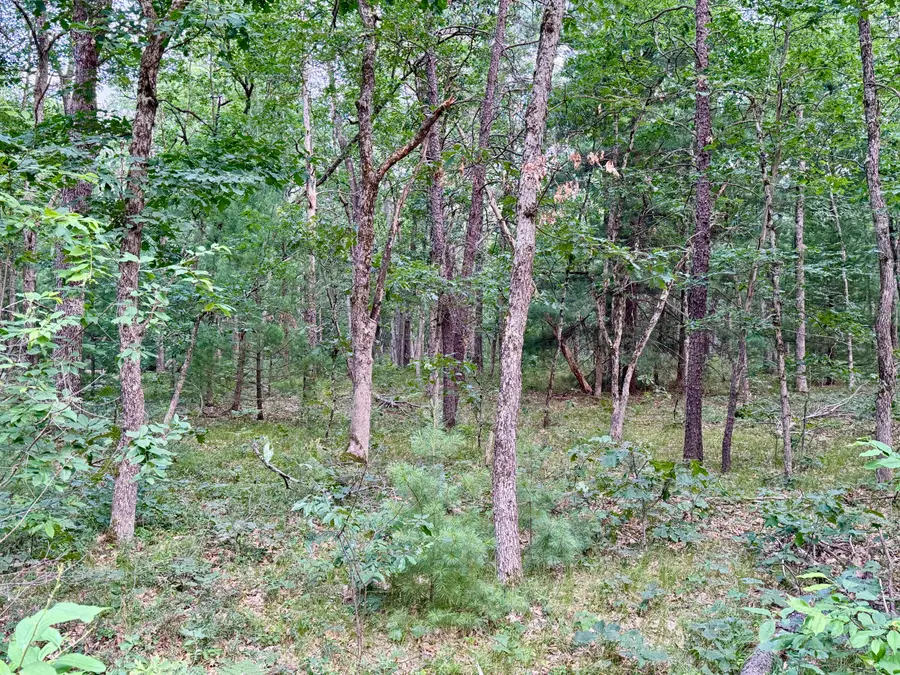 2a Steinberg Road, Manistee, MI 49660 - #2
