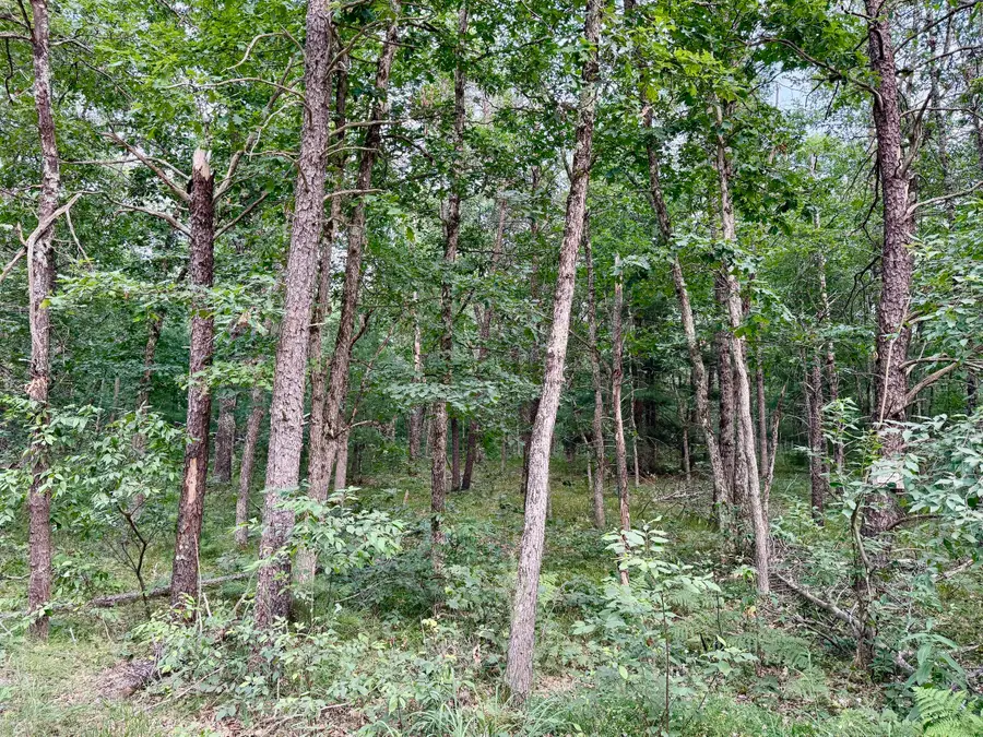 2a Steinberg Road, Manistee, MI 49660 - #3
