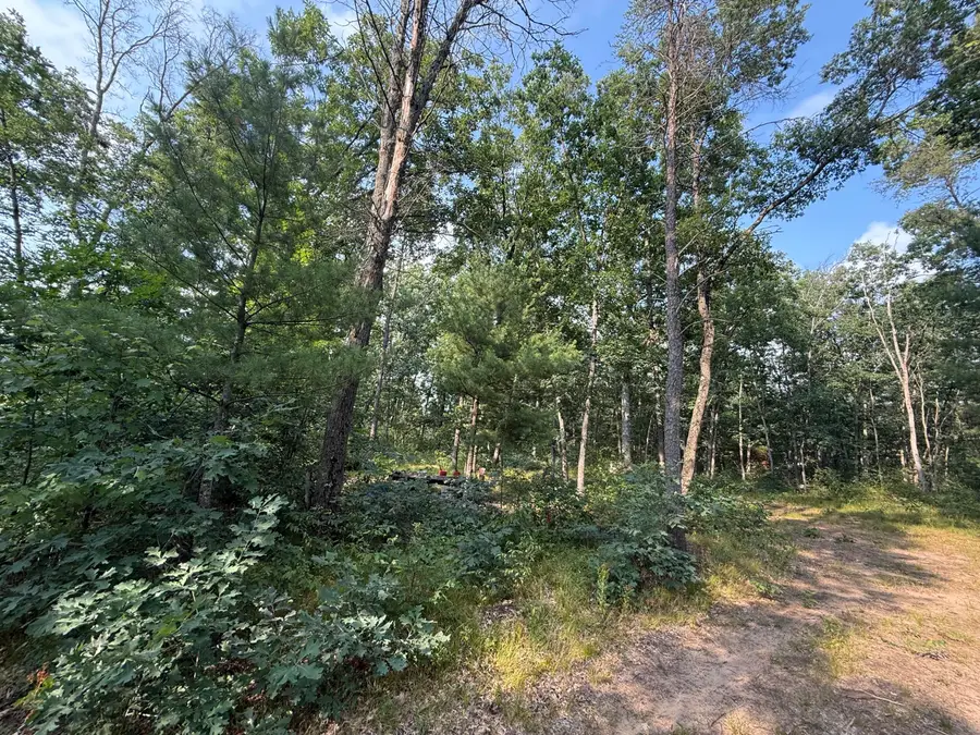 2668 W Moonflower, Baldwin, MI 49304 - #3