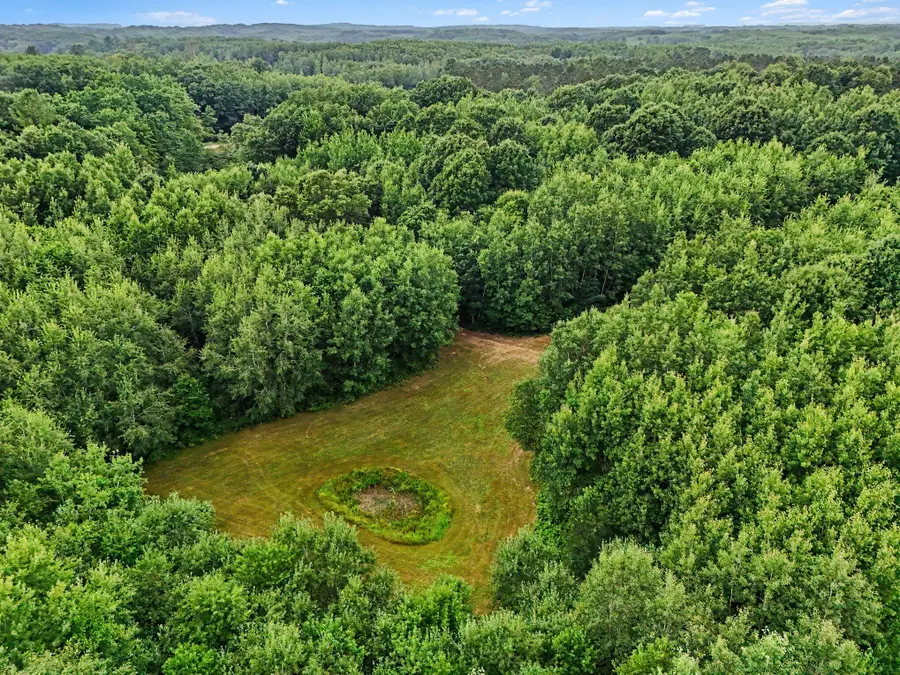 V/L N Larson Road, Fountain, MI 49410 - #2