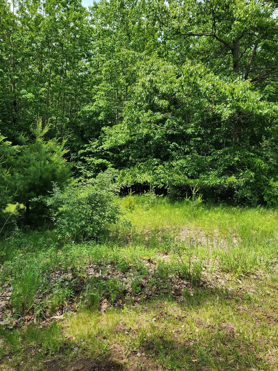 00 Opal Ridge Drive #64, Onekama, MI 49675 - #3