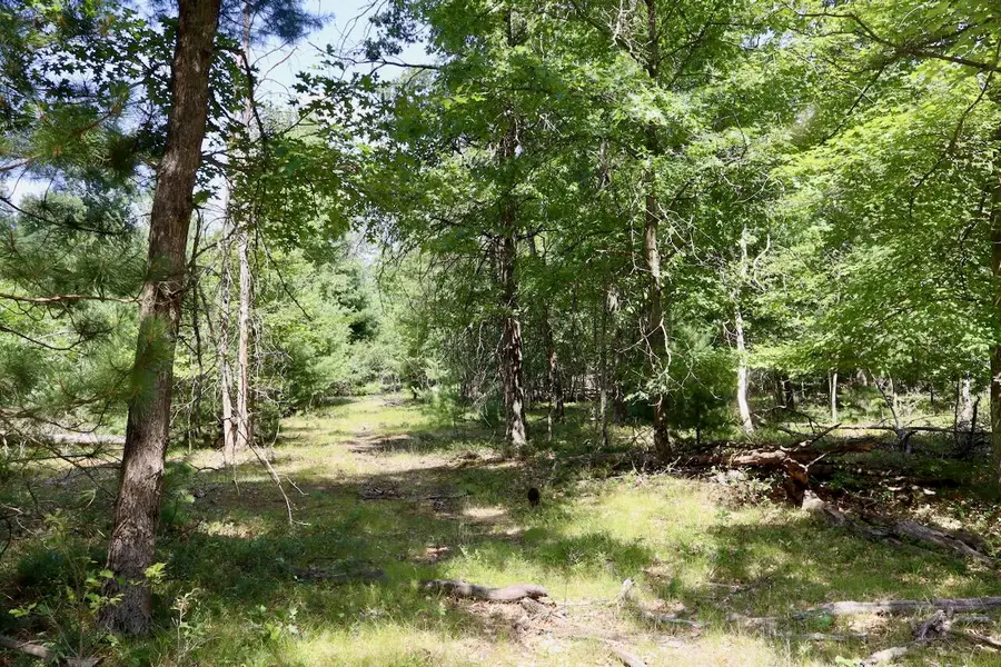 02 Down To Earth Way, Prescott, MI 48756 - #2