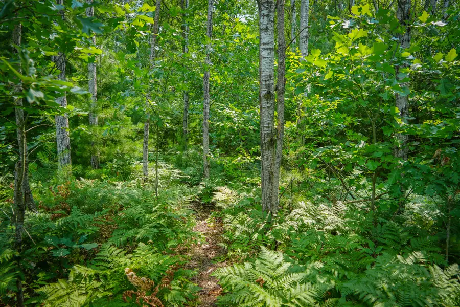N Apple Drive #Lot 62/1.88 A m/l, White Cloud, MI 49349 - #3