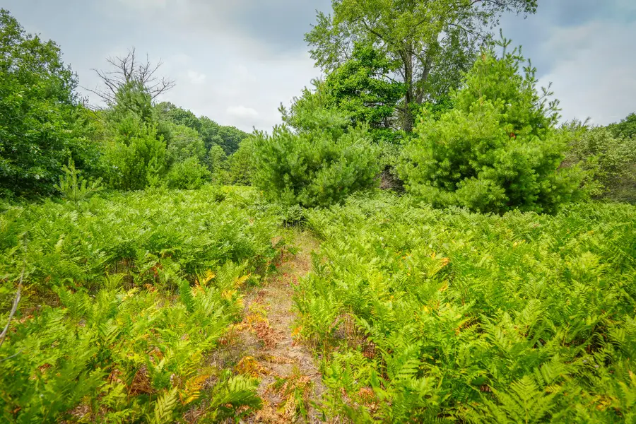 N Apple Drive #Lot 63/0.95 A m/l, White Cloud, MI 49349 - #3