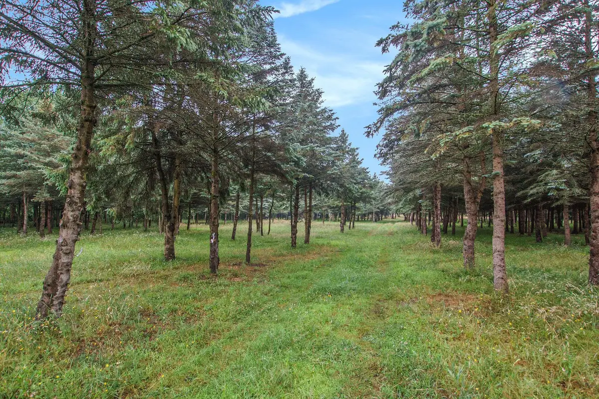 0 Desay Dr W, West Olive, MI 49460 - #1