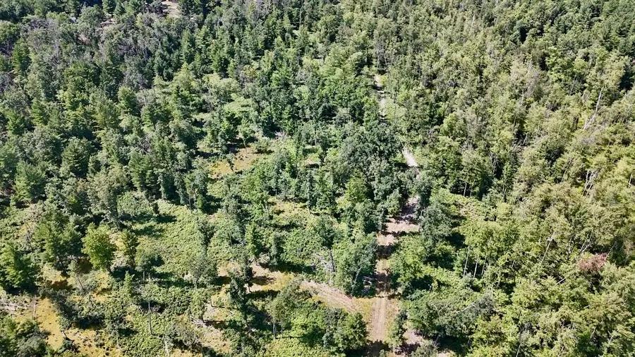 05 Down To Earth Way, Prescott, MI 48756 - #3