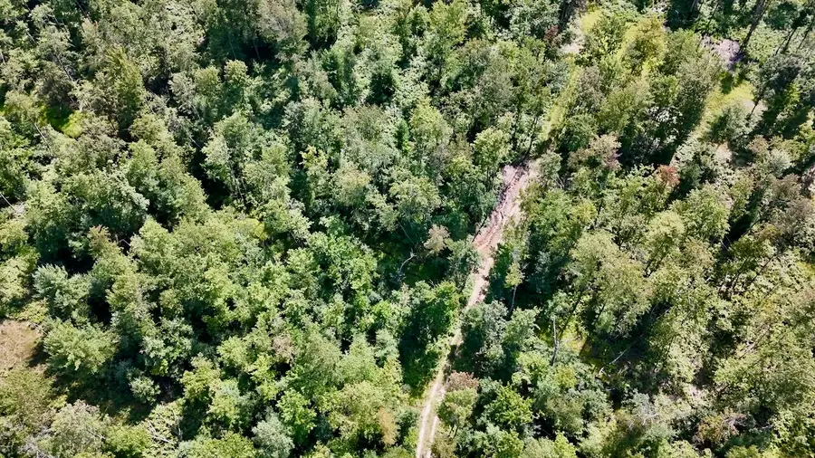 07 Down To Earth Way, Prescott, MI 48756 - #2