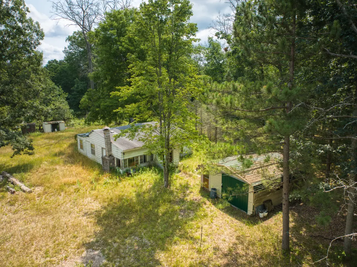 10130 N Brooks Road, Irons, MI 49644 - #1