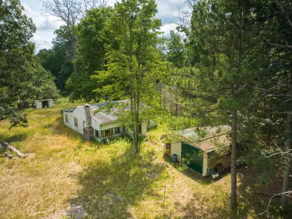 10130 N Brooks Road, Irons, MI 49644