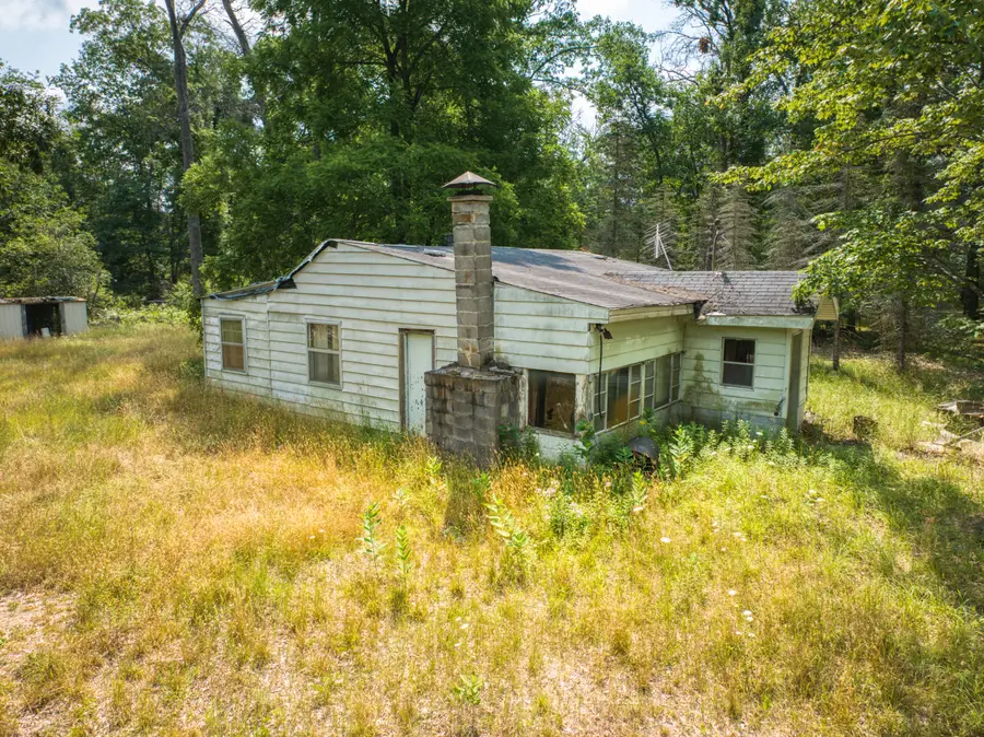 10130 N Brooks Road, Irons, MI 49644 - #2
