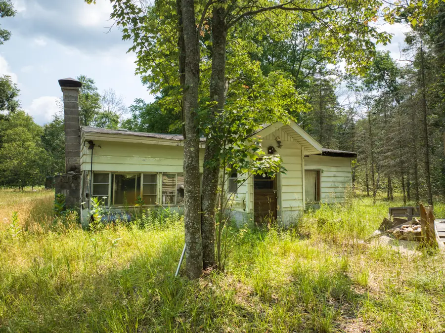 10130 N Brooks Road, Irons, MI 49644 - #3