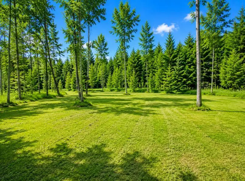 4500 Witmere Road, Charlevoix, MI 49720 - #2