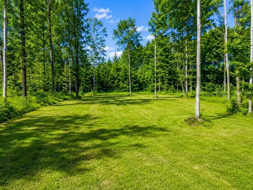 4500 Witmere Road, Charlevoix, MI 49720 - #3