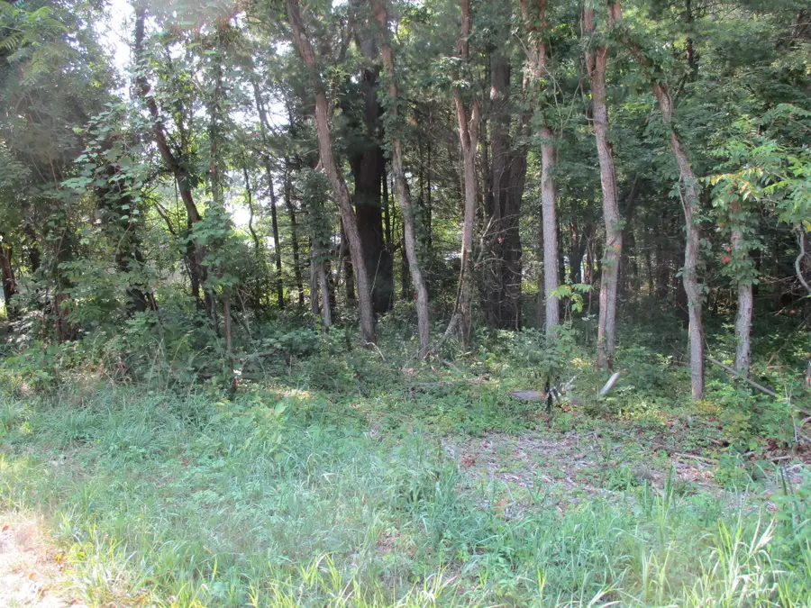 105th Avenue #Parcel 05, Pullman, MI 49450 - #3