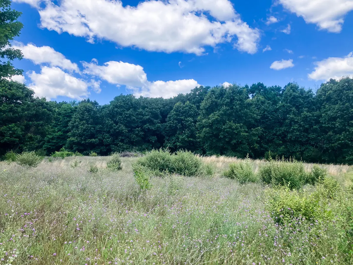 Parcel 9 Leaf Lane, Freeport, MI 49325 - #1