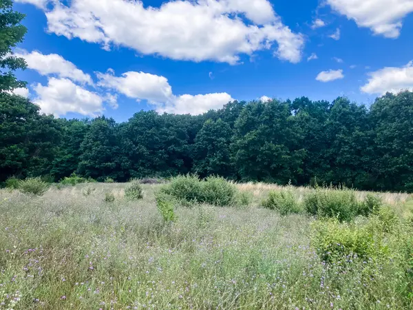 Parcel 9 Leaf Lane, Freeport, MI 49325