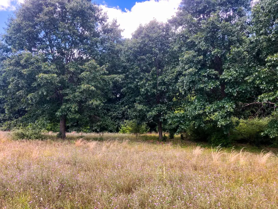 Parcel 9 Leaf Lane, Freeport, MI 49325 - #2