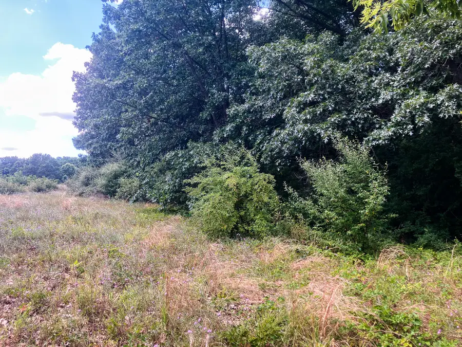 Parcel 9 Leaf Lane, Freeport, MI 49325 - #3