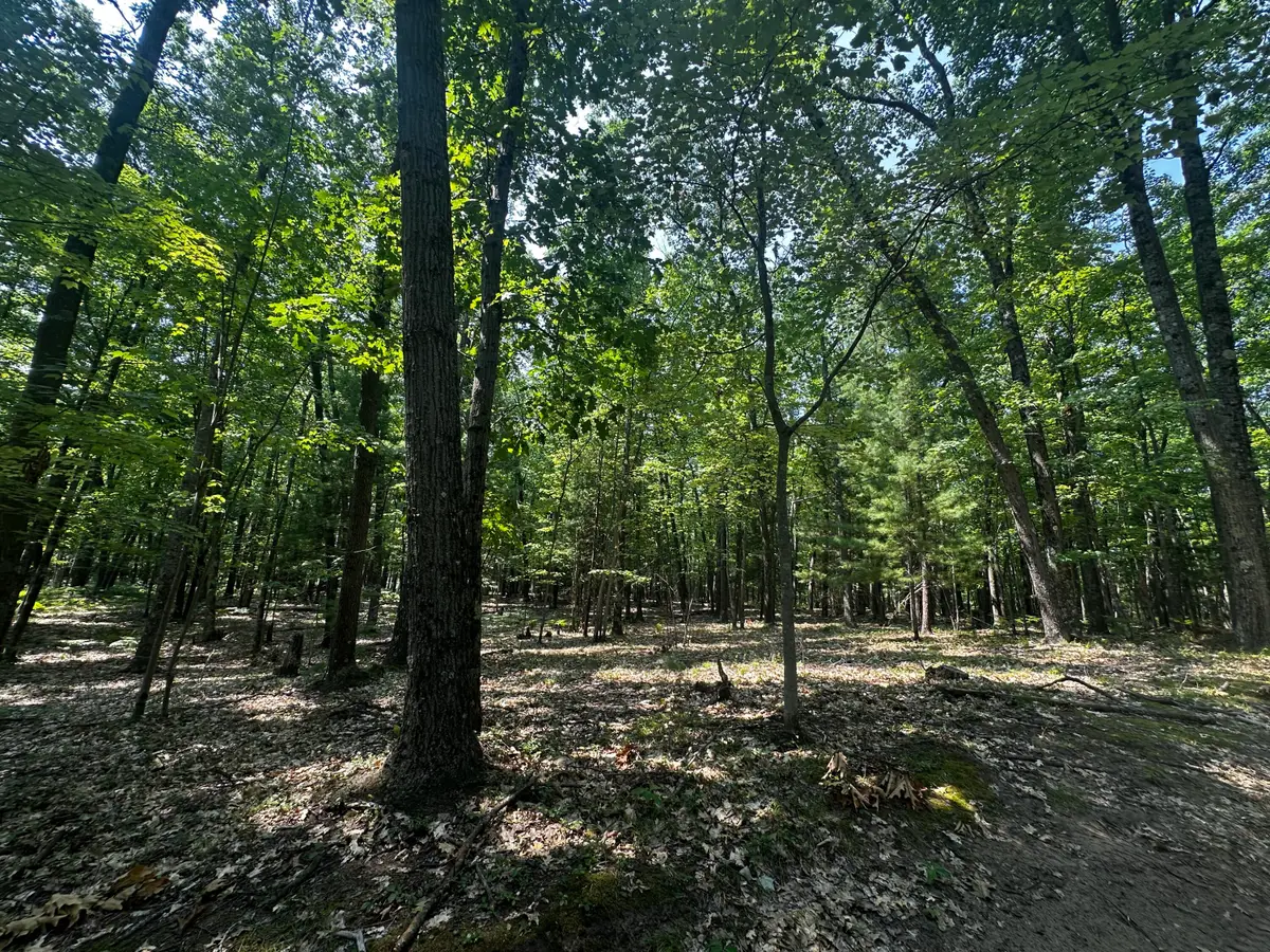 00 VL Deer Trail, Irons, MI 49644 - #1