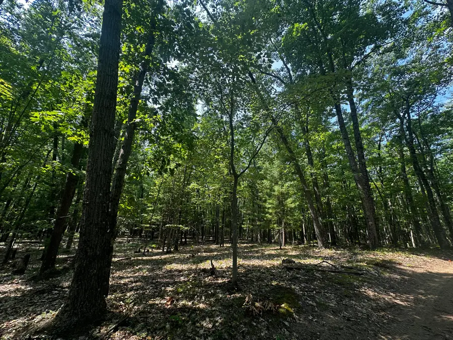 00 VL Deer Trail, Irons, MI 49644 - #2