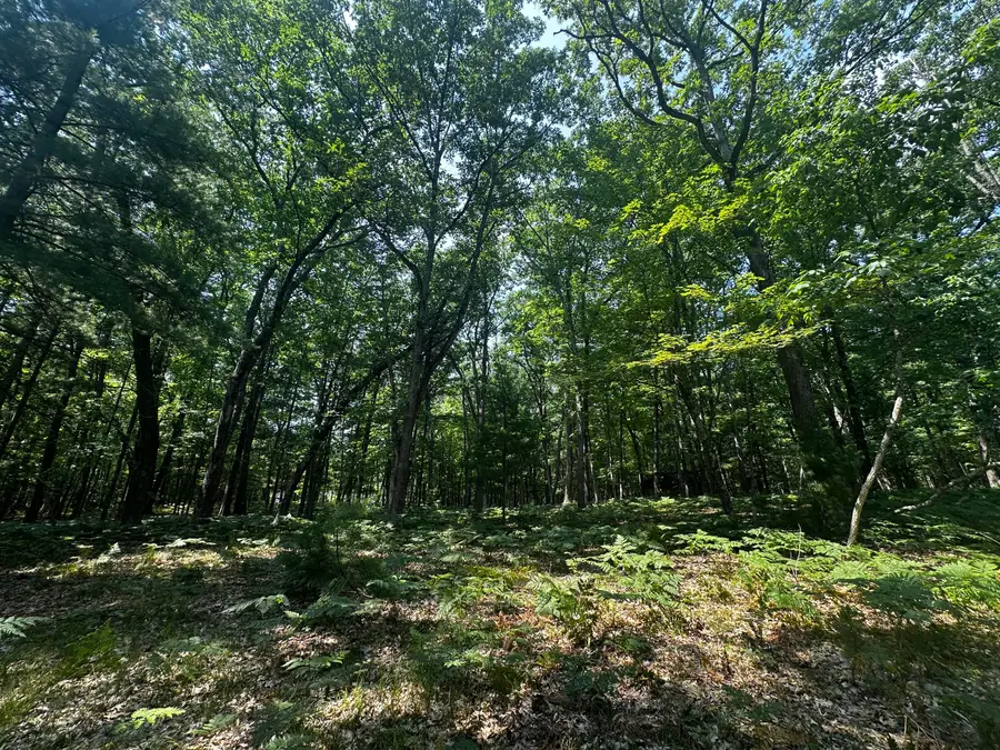 00 VL Deer Trail, Irons, MI 49644 - #3