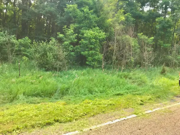 Lot G Buckhorn Road, Three Rivers, MI 49093