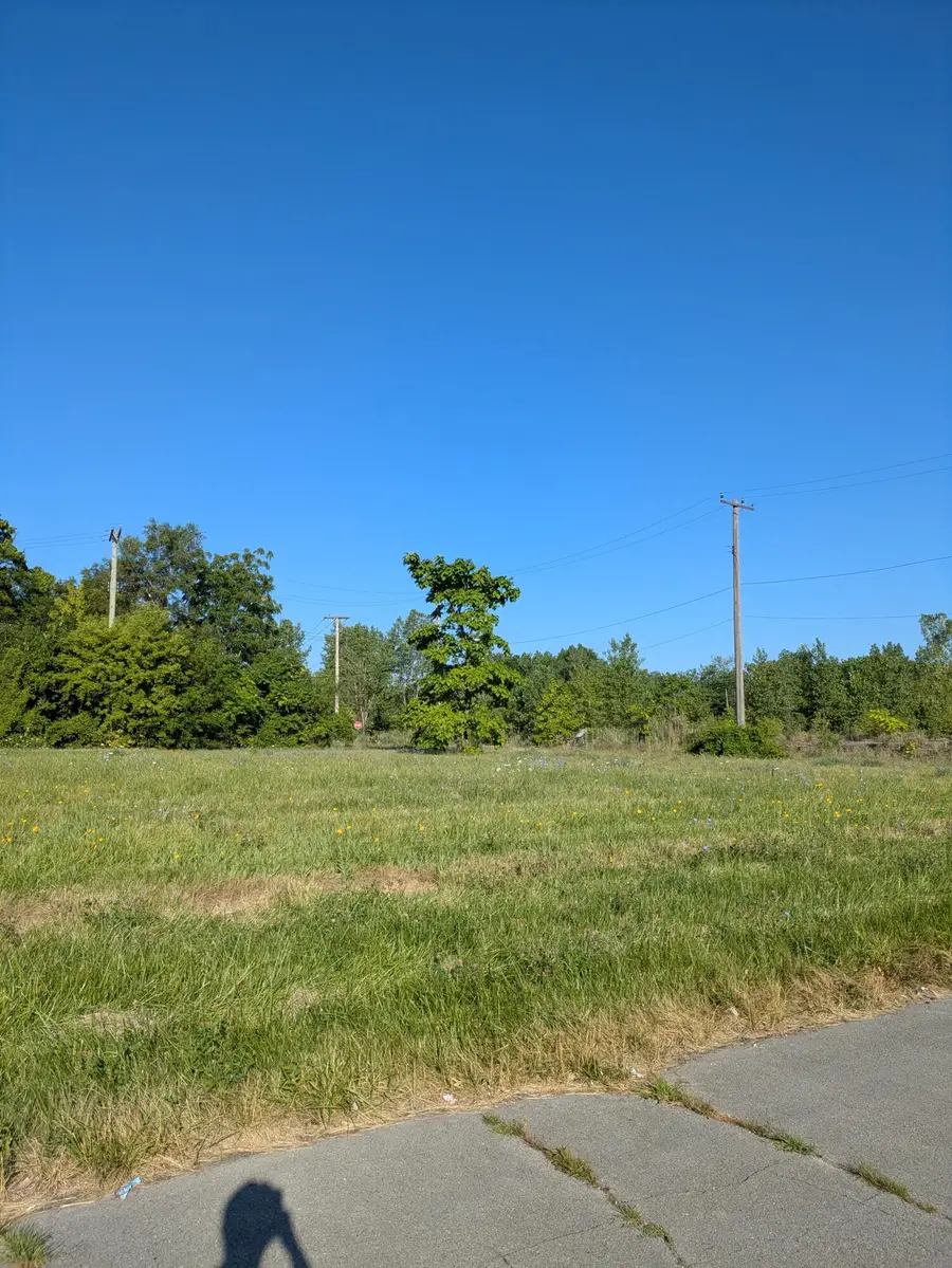 3803 Tillman Street, Detroit, MI 48208 - #3