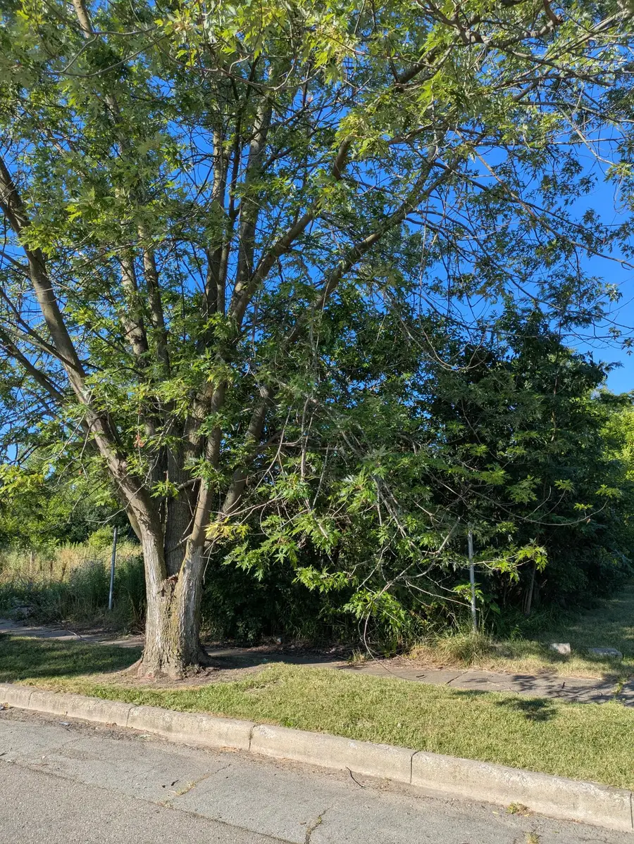 4159 Roosevelt Street, Detroit, MI 48208 - #2
