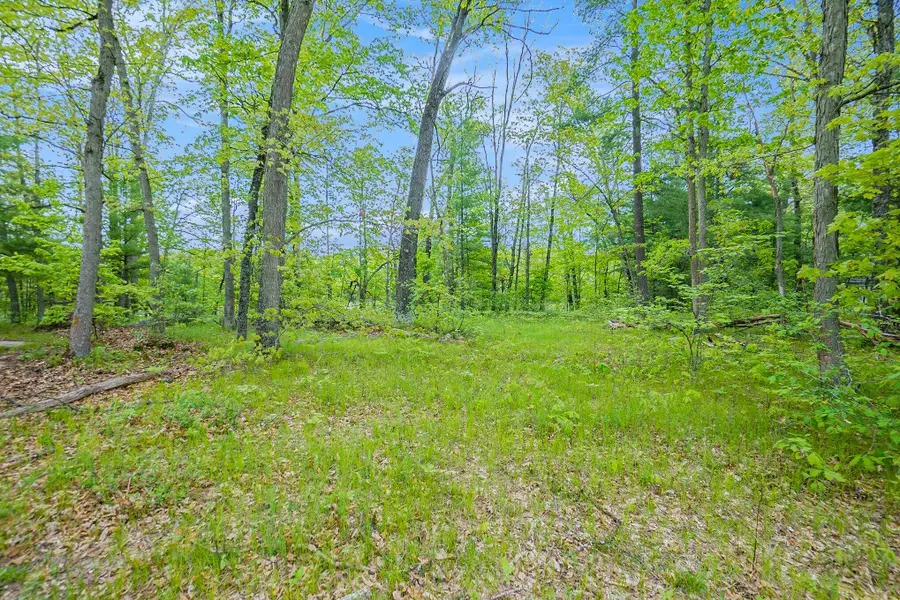 0 Tacoma Tacoma Street, Idlewild, MI 49642 - #2