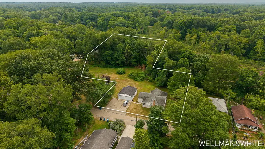 1019 Elizabeth Street, Saugatuck, MI 49453 - #2